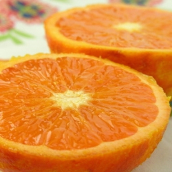 Mandarin Cake