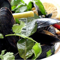 Easy Thai Steamed Mussels