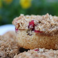 Cranberry-Orange Muffin