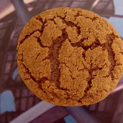 Molasses Spice Cookies