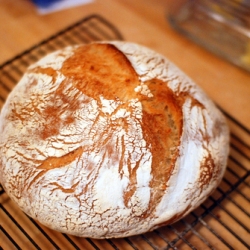 No-Knead Bread