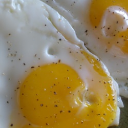 Glorious Eggs