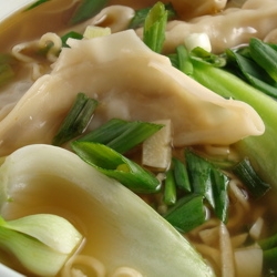 Dumpling Noodle Soup