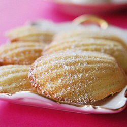 Making Madeleines