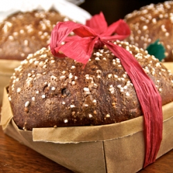 Chocolate Panettone