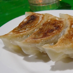 Japanese Gyoza