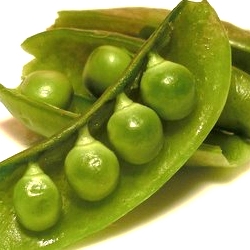 Sugar Snaps