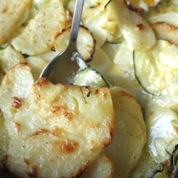 Creamy Potato and Zucchini Gratin