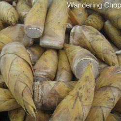 Bamboo Shoots