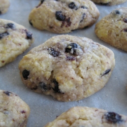 Polenta Cookies from the Veneto