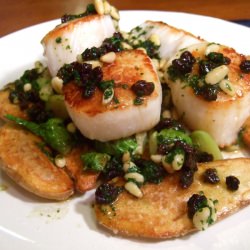 Fall Sea Scallops