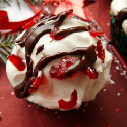 Cherry Chocolate Cupcakes