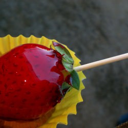 Japanese Street Food