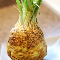 Celery Root