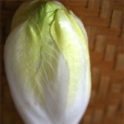 Endive Walnut Roquefort Tart