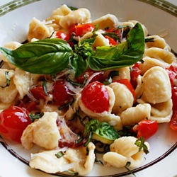 Orecchiette With Tomatoes & Cheese