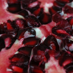 Pomegranate Jewels