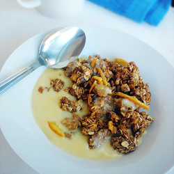 Tangy Crunchy Granola