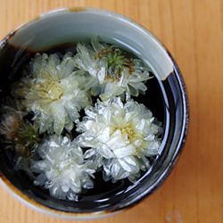 Chrysanthemum Tea