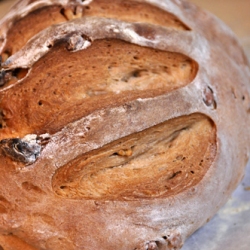 Maple Pecan Bread