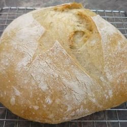 Artisan Bread in 5 Minutes a Day!