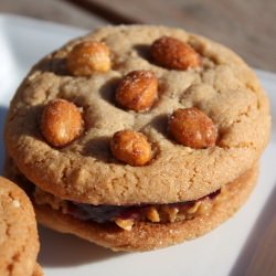 PB&J Sandwich Cookies