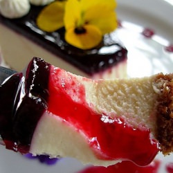 White Chocolate & Ginger Cheesecake