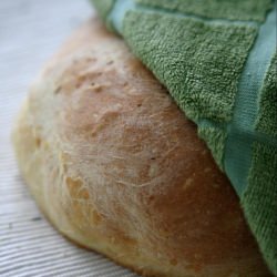 Savory Bread