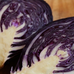 Red Cabbage