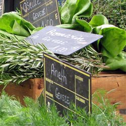 Mixed Greens