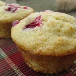 Cranberry Orange Muffins