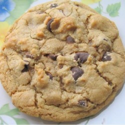 Best Chocolate Chip Cookies Ever