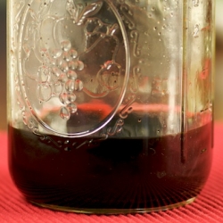 Vanilla Extract