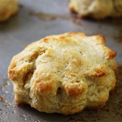 Buttermilk Biscuits