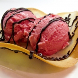 Raspberry Sherbet Served on Tuiles