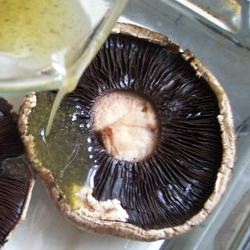 Roasted Portobello Mushrooms