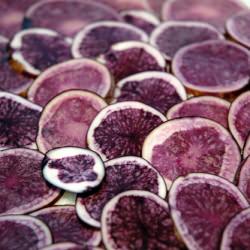 Scalloped Potatoes with Onions