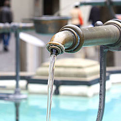 Drinking Water from the Alps