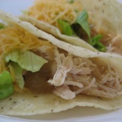 Shredded Chicken Tacos