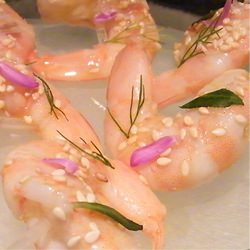 Beautiful Shrimp Cocktail