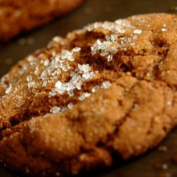 Fat Soft Ginger Cookies