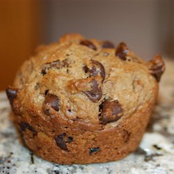 Mocha Chocolate Chip Muffin Bites