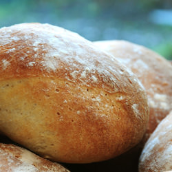 Potato Bread Rolls