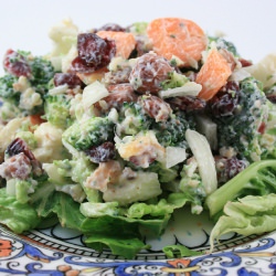 Broccoli Hazelnut & Cranberry salad