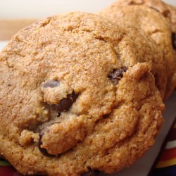 Whole Wheat Chocolate Chip Cookies