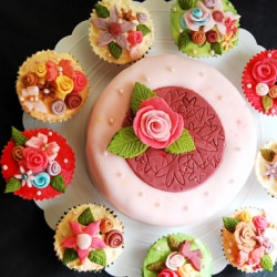 Roses Mini Cake & Cupcakes