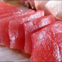 Maguro