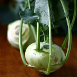 Kohlrabi