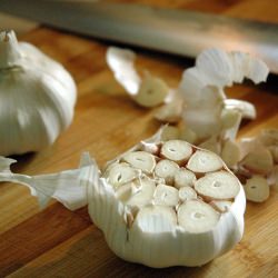 Roasted Garlic – Warm & Rich