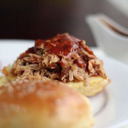 Pulled Pork & Orange Barbecue Sauce